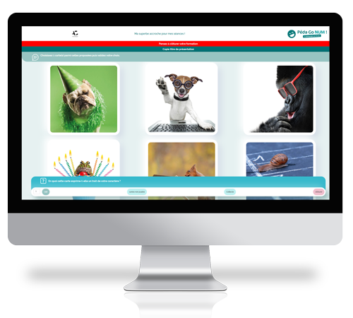 Création d'une application web sur mesure d'outil pédagogique : front et back office