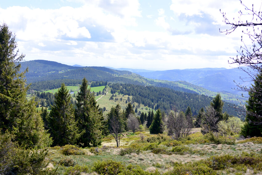 Massif Vosgien – ballade autour du lac noir – 955m d’altitude