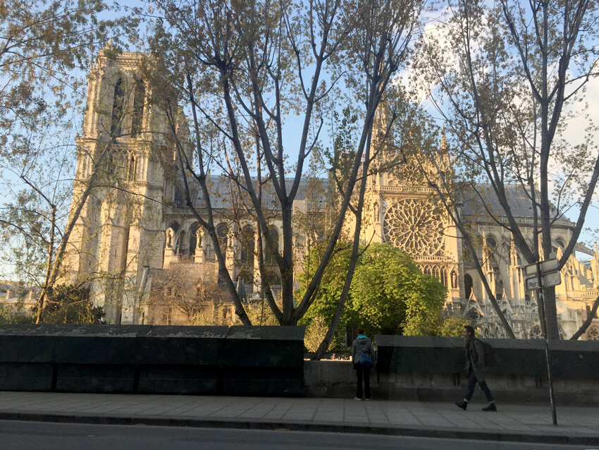 Cathédrale Notre-Dame de Paris